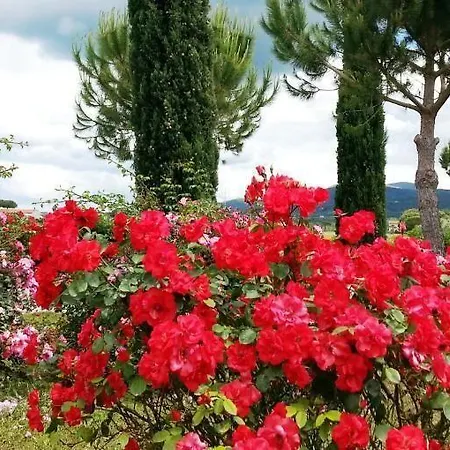 Toscana مزرعة للإقامة
